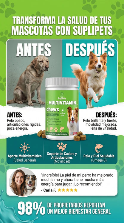 Multivitaminico 24 nutrientes en 1 - 300g