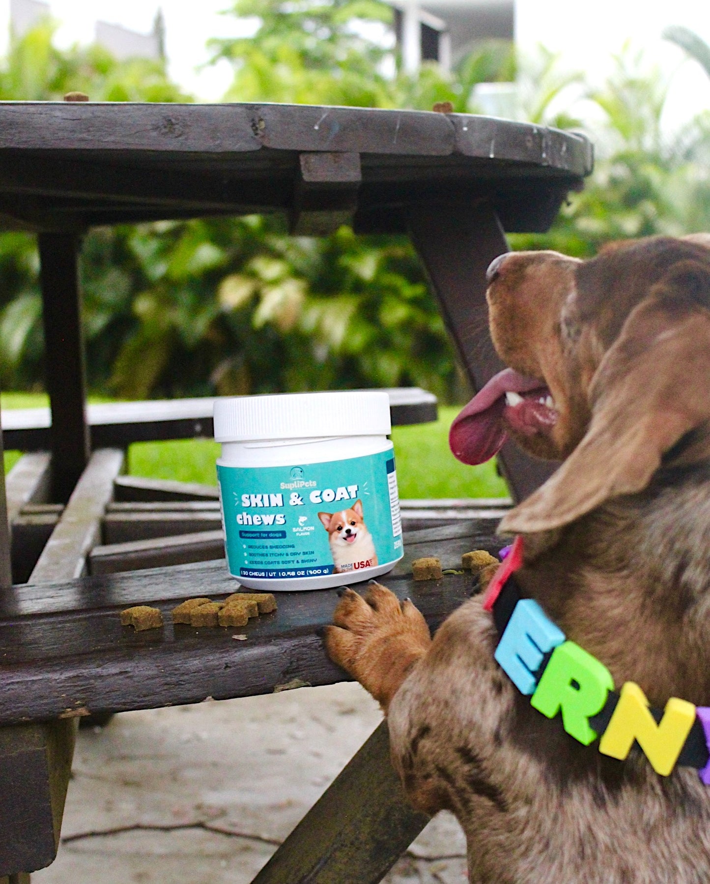 Sonrisa brillante + pelo sano