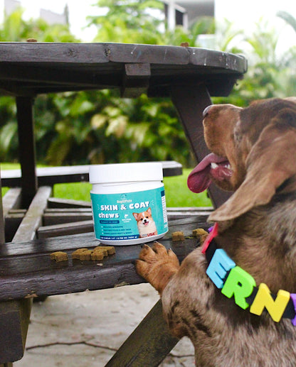 Sonrisa brillante + pelo sano