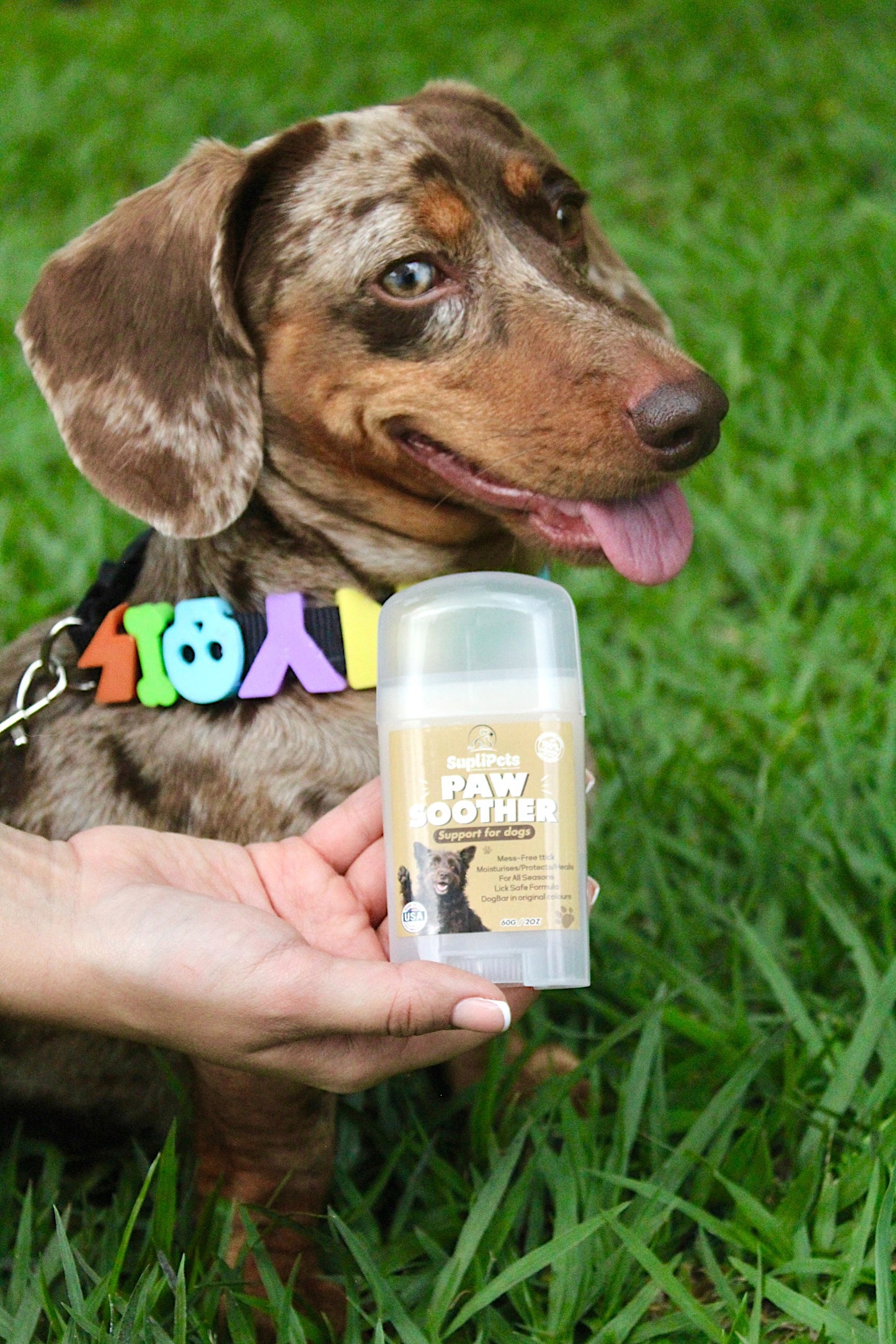 Bálsamo Curativo para nariz y patitas- 60g