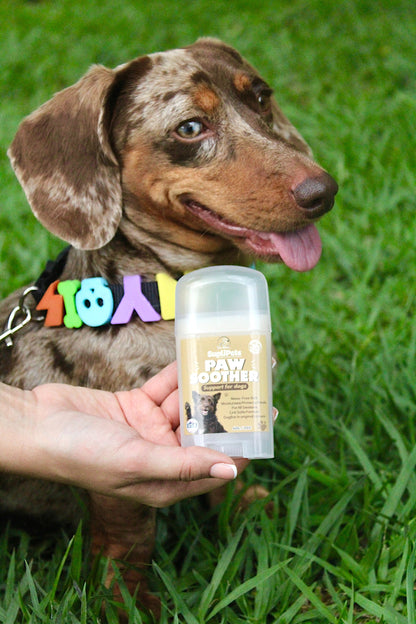 Bálsamo Curativo para nariz y patitas- 60g