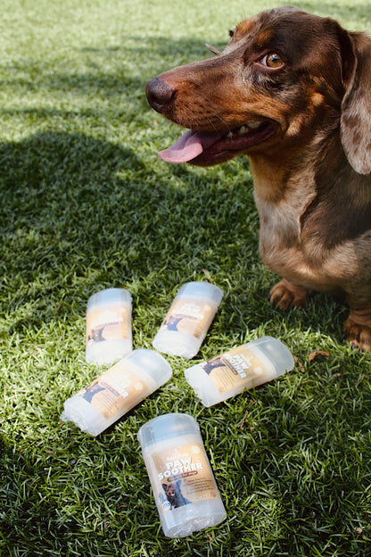 TRATAMIENTO COMPLETO 360