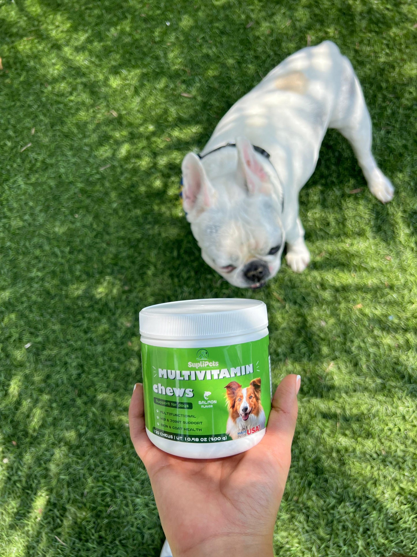 Multivitaminico 24 nutrientes en 1 - 300g