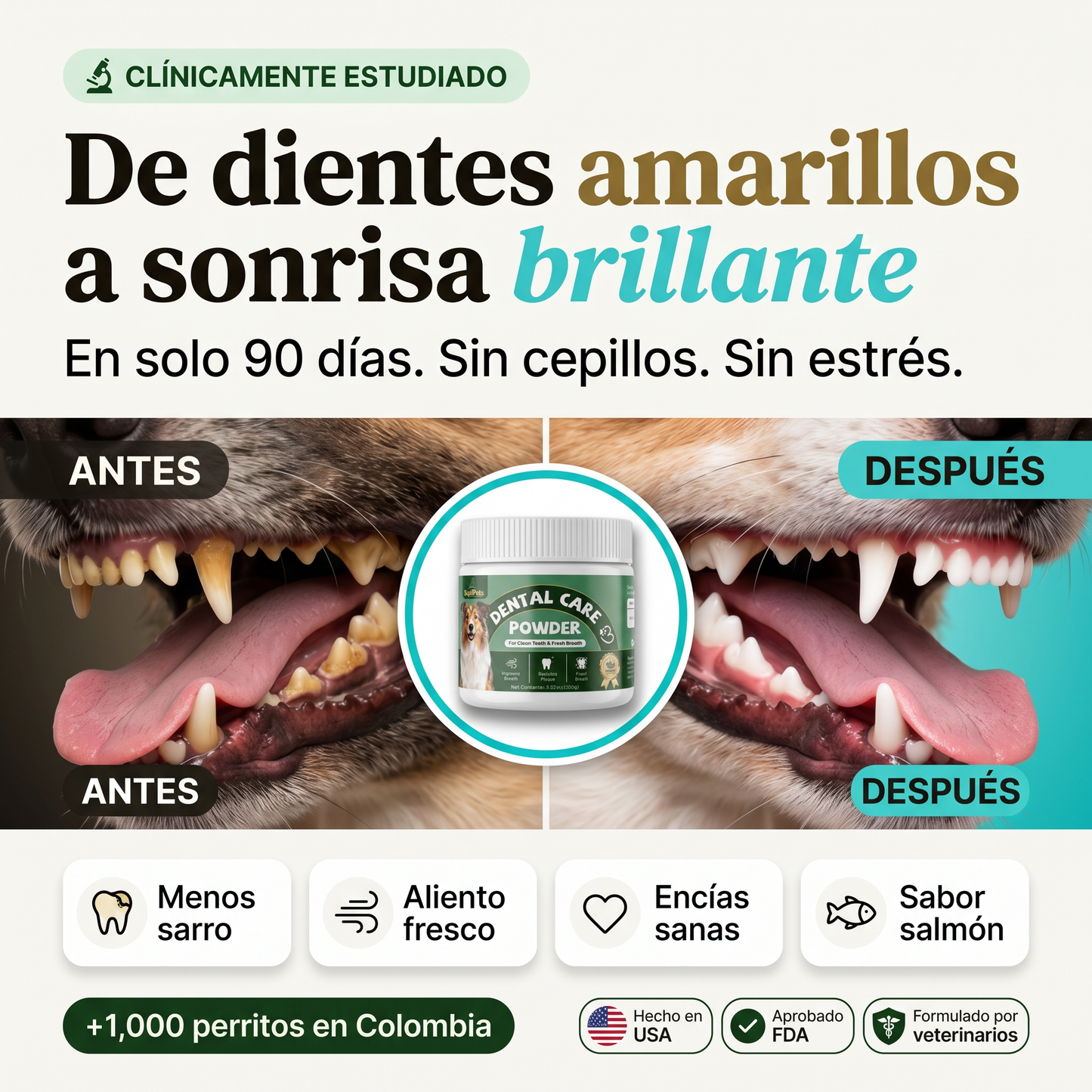 Polvo Dental Avanzado — 100g