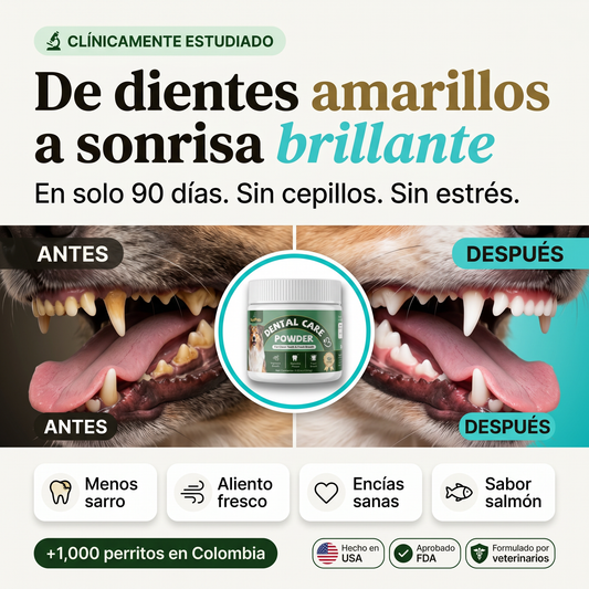 Polvo Dental Avanzado — 100g