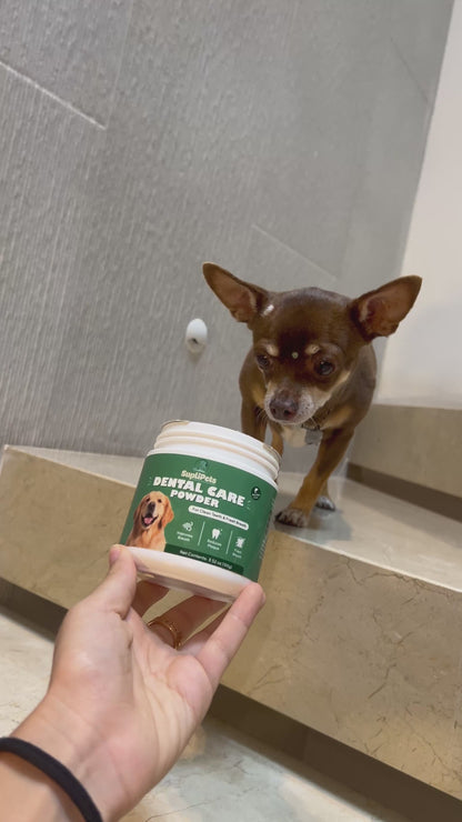 Sonrisa brillante + pelo sano